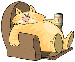 A fat cat
