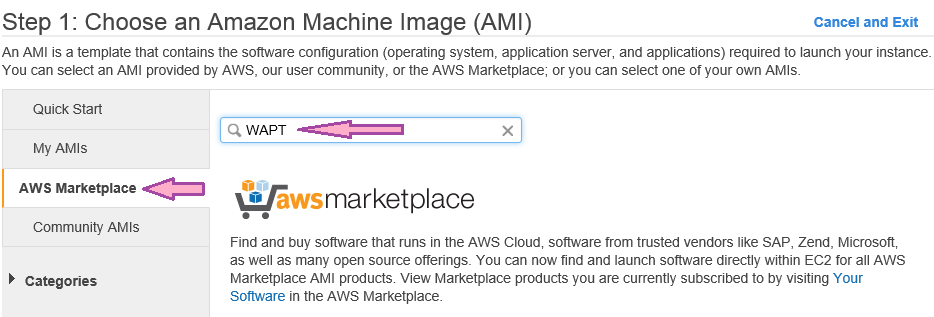 Choose an Amazone Machine Image