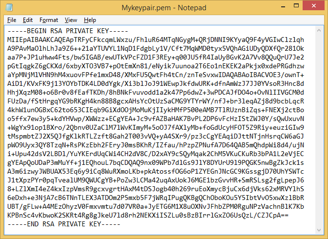 Key pair in Notepad