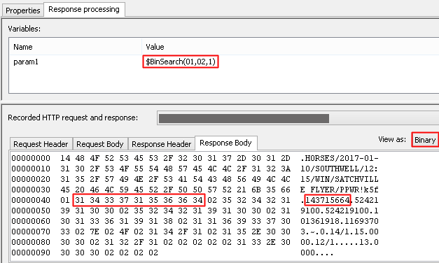 Binary type: Response tab